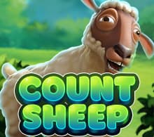SheepCount